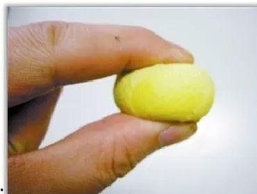 延迟吃瓜简称,延迟吃瓜背后的社会现象解析