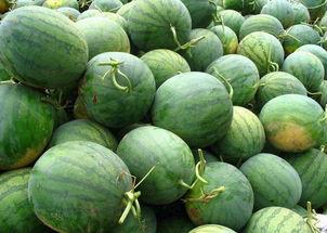 攻略那有吃瓜香,探寻那有吃瓜香的美食之旅