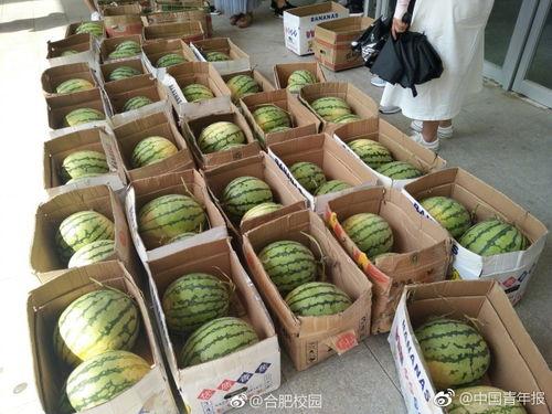 吃校园瓜,揭秘校园里的那些秘密故事