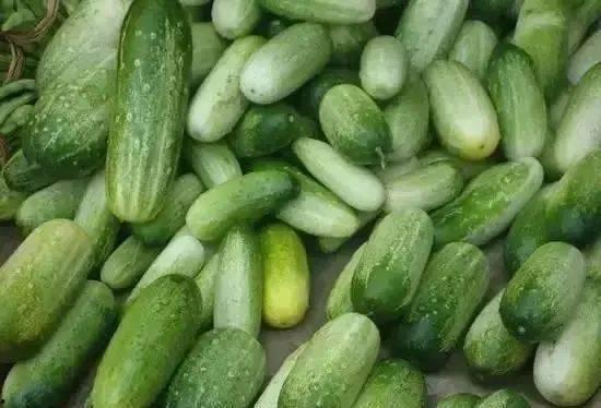 云南老乡吃瓜,揭秘老乡们的独特“吃瓜”文化