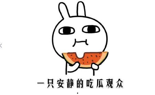 吃瓜在抖音,带你领略短视频世界的酸甜苦辣