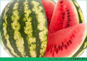 每日必看吃瓜视频,揭秘娱乐圈最新吃瓜视频，热点事件一网打尽