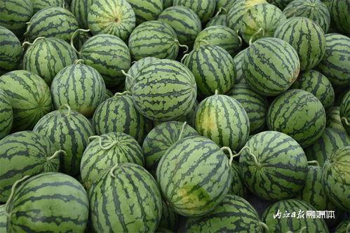 渣田吃瓜,揭秘娱乐圈背后的秘密与真相