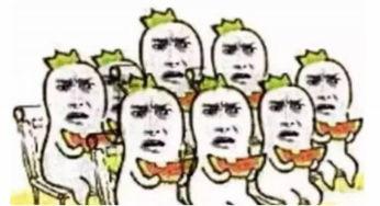 吃瓜群众572,网络红人的崛起之路