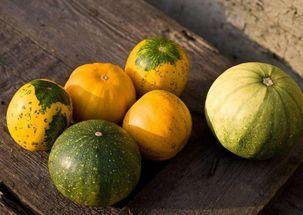 效果图吃瓜,吃瓜群众的欢乐盛宴