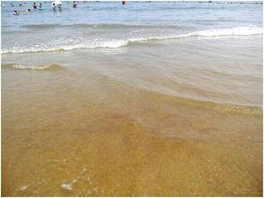 日照海边吃瓜,尽享夏日清凉时光