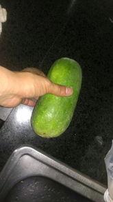 加野格 吃瓜,揭秘娱乐圈的“吃瓜”风云