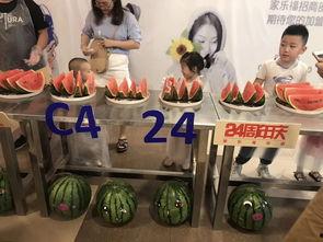 俄罗斯吃瓜比赛,一场别开生面的吃瓜盛宴