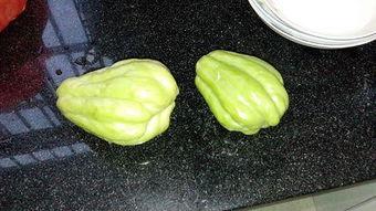 瓜的根茎怎么吃