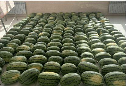 吃瓜新闻台,揭秘娱乐圈最新热点事件