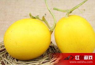 吃瓜之后吃的嗓子不舒服,揭秘夏日消暑饮食注意事项