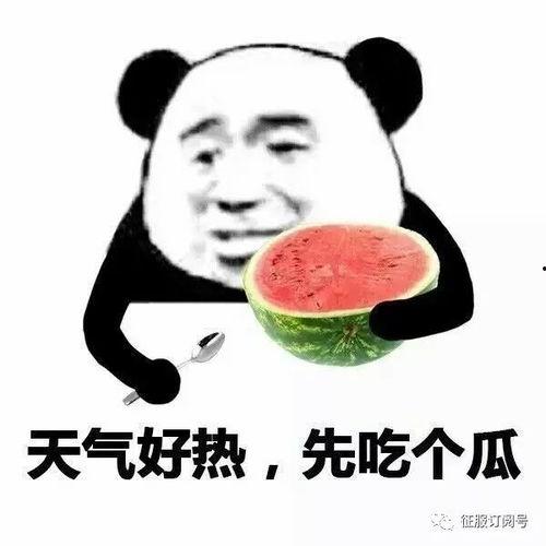 快手小表情吃瓜